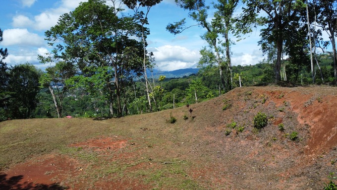 Quebradas, Perez Zeledon, 11901, ,Land,For Sale,Quebradas,1259